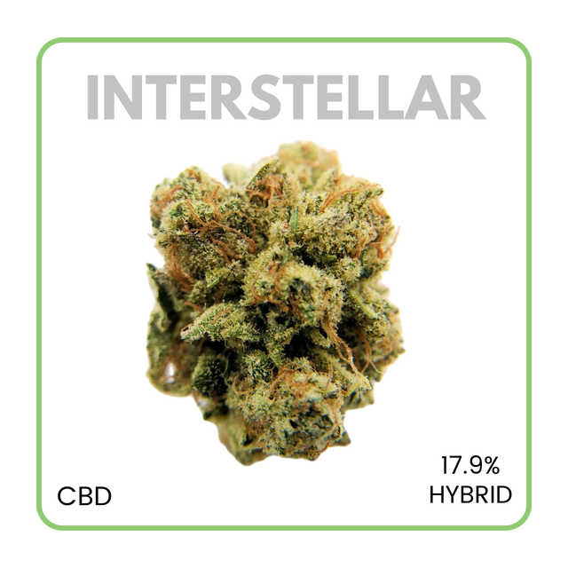 送料無料 いくらから Premium Cannabis Flower DC | flowerz カーディガン