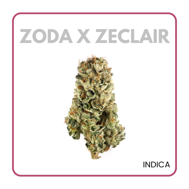 Premium Cannabis Flower DC | flowerz