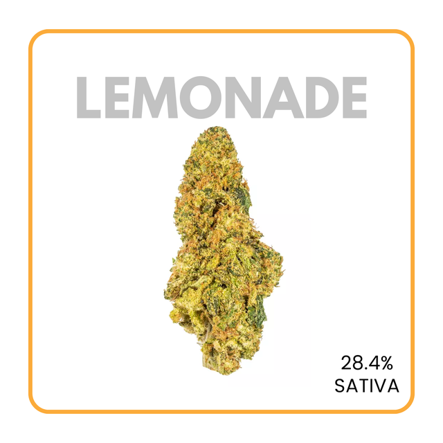 Premium Cannabis Flower DC | flowerz