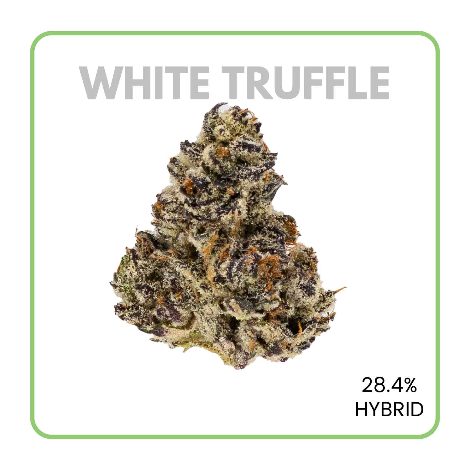 Lemon Truffle Strain - tr91fez