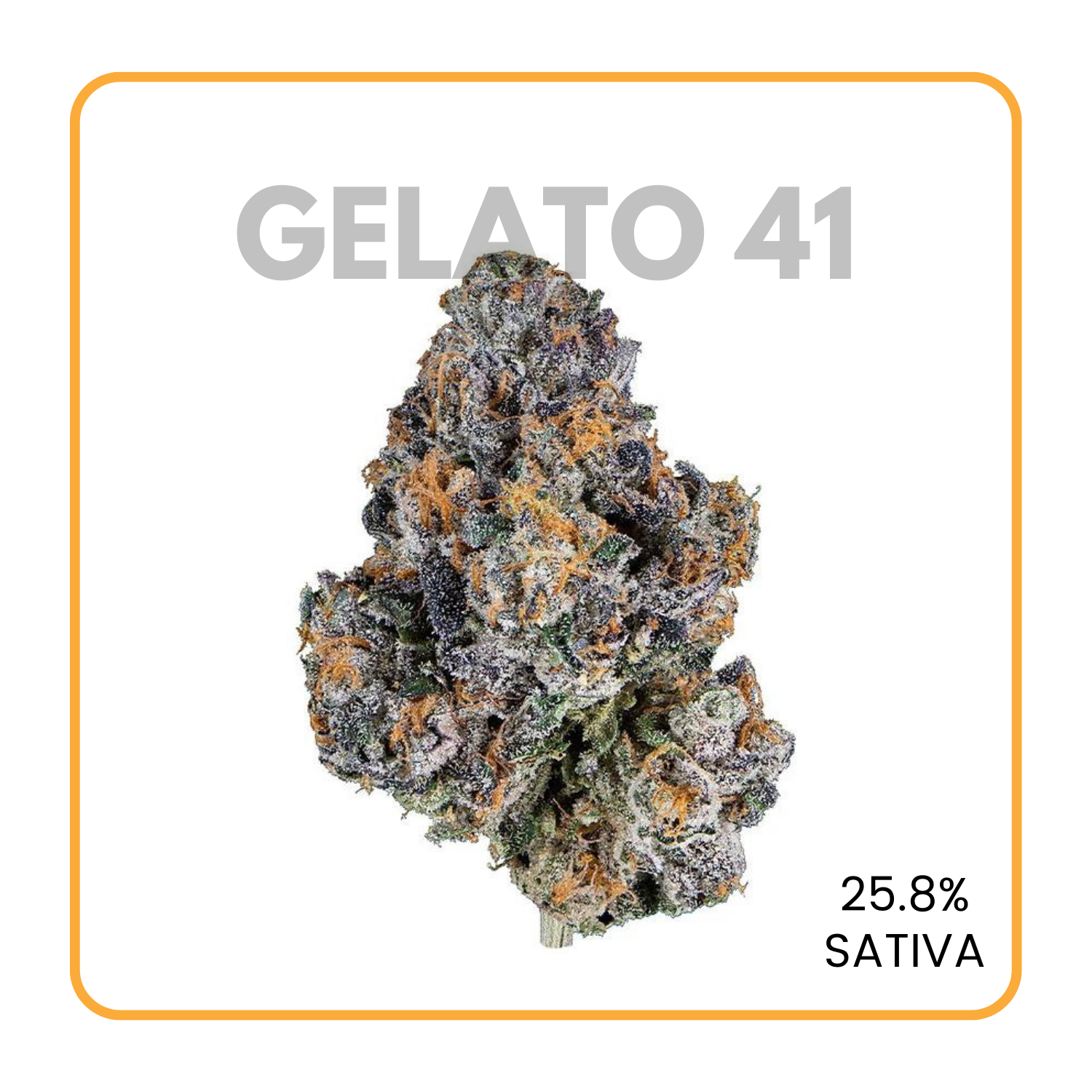 Gelato 41 Strain flowerz