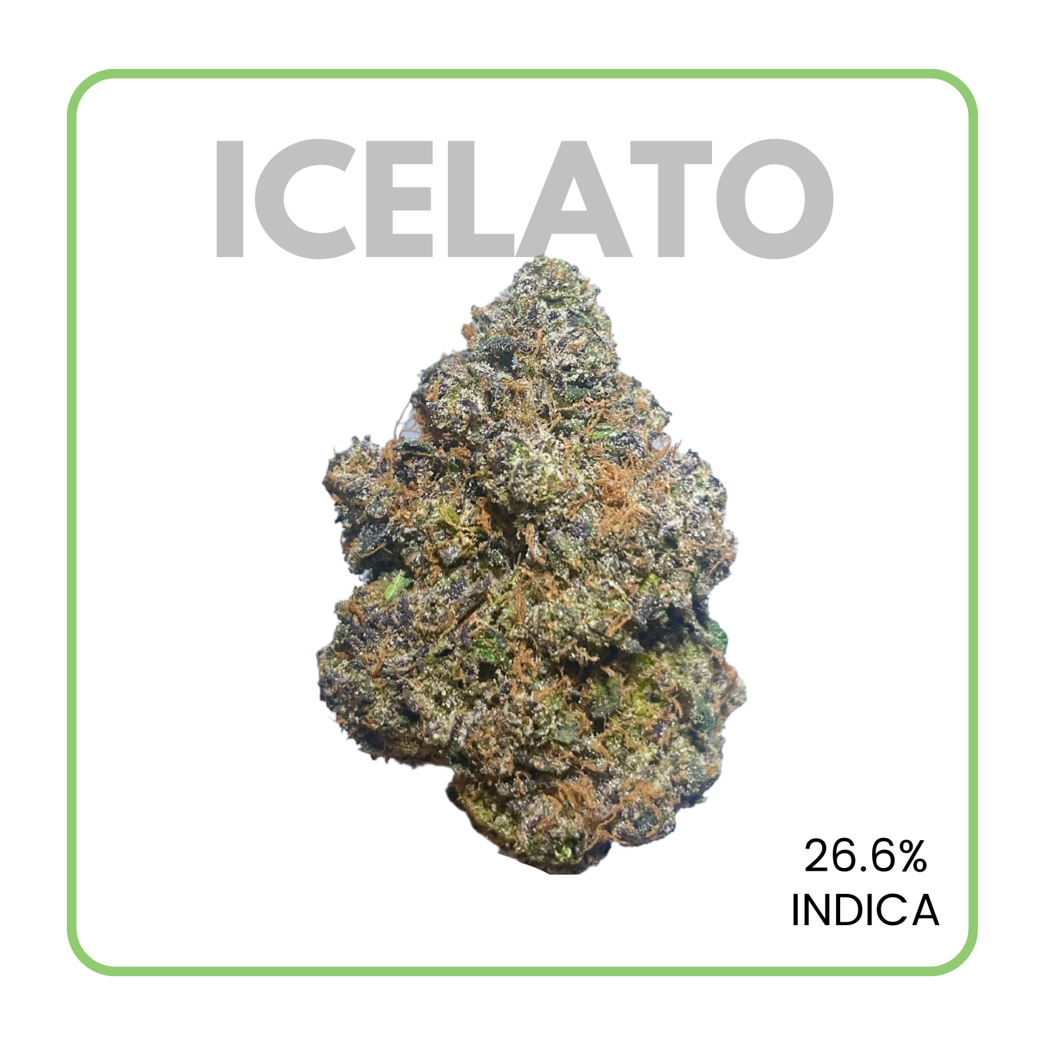 Candy Lato Strain - 9zbeqx5