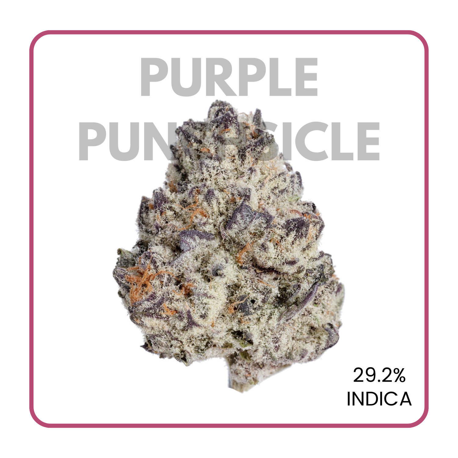 Purple Punchsicle flowerz
