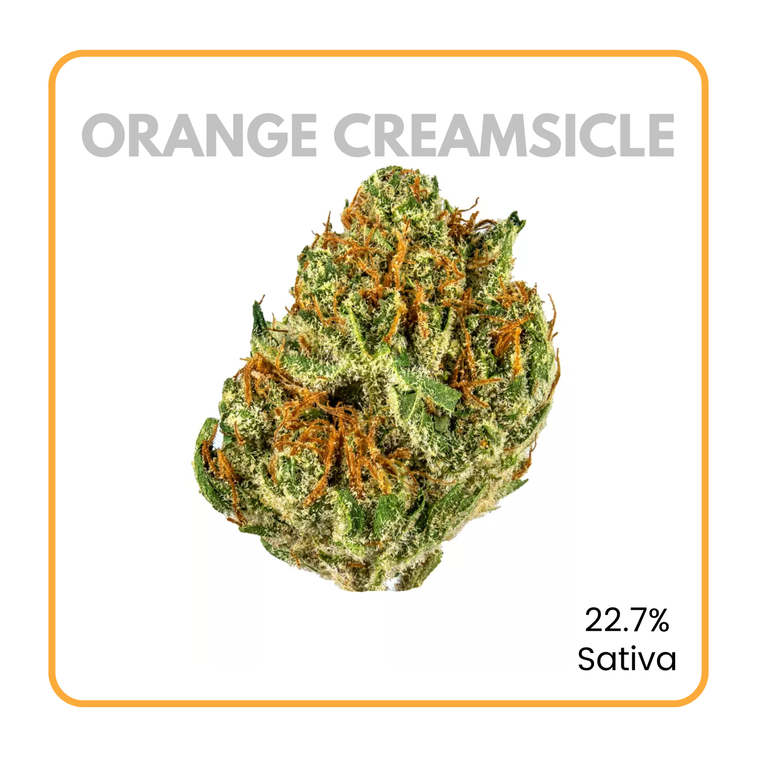 Orange Creamsicle Strain flowerz